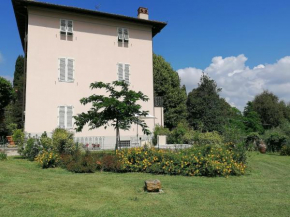 La cantina di Tonino Lucca